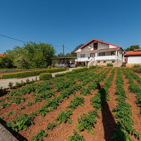 Apartamento Floyd Bibinje Exterior foto