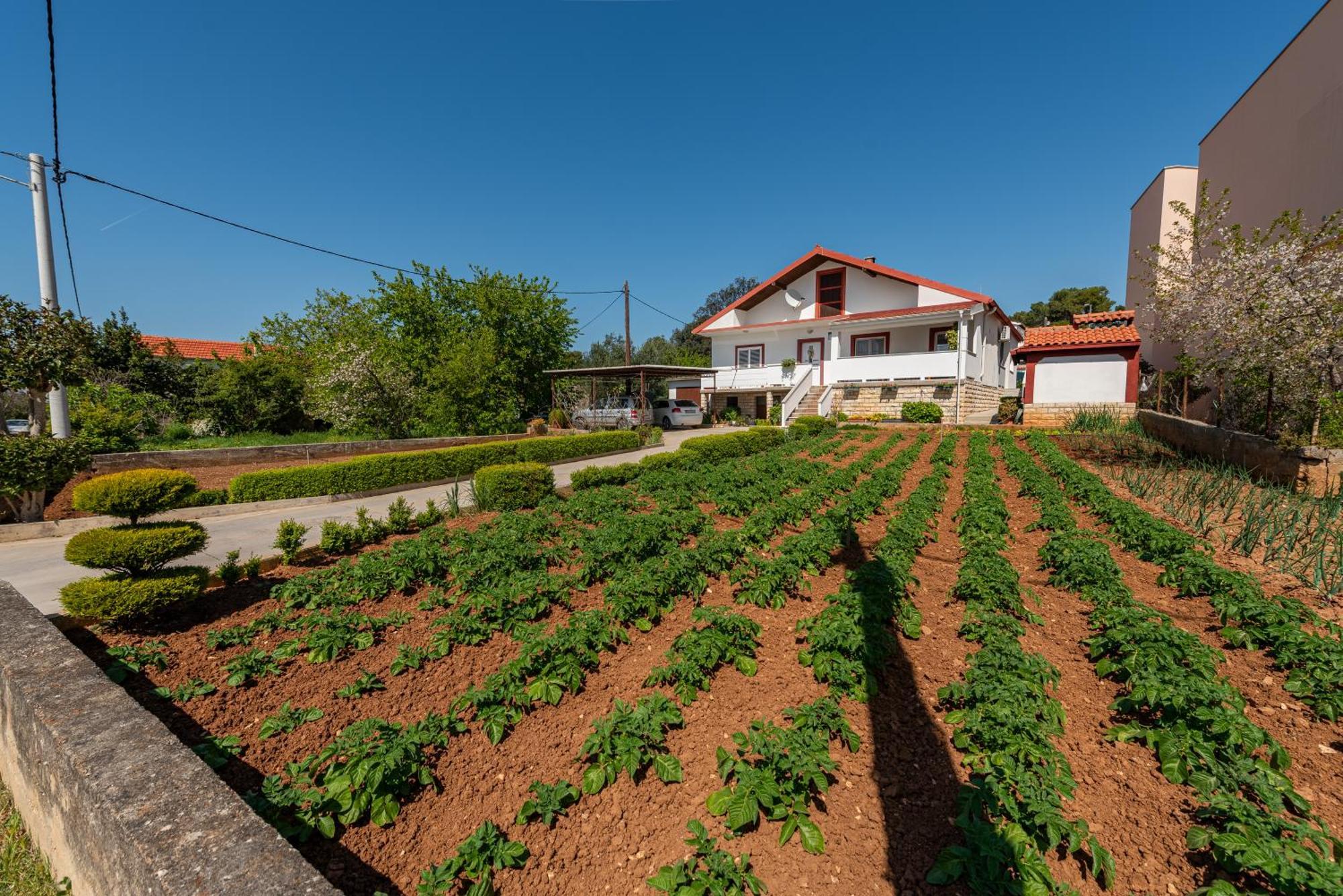 Apartamento Floyd Bibinje Exterior foto